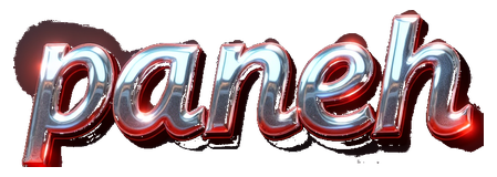panen338 logo